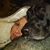 Jill Forret Lane's profile image