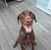 Maribeth Kennedy S's profile image