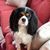 Traci McNamee's profile image