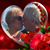 Carol Young Carey's profile image