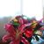 Leann Bankey's profile image