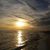 Carolyn Albaugh's profile image