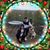 Mike Steinkemper's profile image