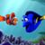 Lu Ann Wright's profile image