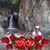 Zenaida Cruz's profile image