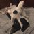 Michelle Simono's profile image