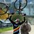 Bruce Lindsay's profile image