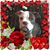 Angie Hacker's profile image