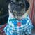 Laura Kien Lanza's profile image