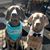 Paul-Karen Vander Velde's profile image
