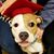 Jennifer Buechele Schaller's profile image
