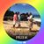 Nelson Silveira's profile image