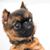 Wendy Johnson Allen's profile image