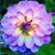 Gregory A Walters's profile image