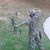 Rodney Bailey Sr.'s profile image