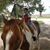 Erasmo Carmona's profile image