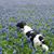 Geney Peelle Heaton's profile image