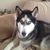 Stephen Klewiec's profile image