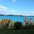 Susan Fanning Matesic's profile image