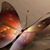 Tami Boyd's profile image