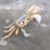 Michael Garutti's profile image