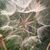 Kathryn Mensinger's profile image