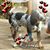 Anna Hibbard Haskins's profile image