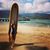 Robin Yarrow Newton's profile image