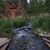 Anna M LaSalvia's profile image