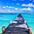 Debbie Binyon's profile image