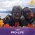 Susan Loree-Ramos's profile image