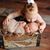 Kayla Mae Stacy's profile image