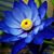 Amy Meinhardi's profile image