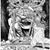 Rene Wintcentsen's profile image