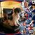 Jacqui Cordeau's profile image