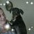 Christina Danila's profile image