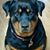James Terryl Bechtol Jr.'s profile image