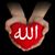 منال النصري's profile image