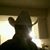 Armando Lerma Romero's profile image