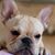 Melinda Sebring's profile image