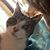 Karen Morton's profile image