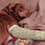 Kathi Hines's profile image