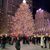 Susan Conway Mellody's profile image