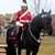 Jeffrey Wayne's profile image