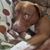 Kelli Chatfield's profile image