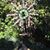 Terri MonPere's profile image