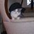 Barbara Schmidtke's profile image