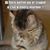 Michele Rappa's profile image