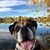 Vega N Otis-Daphne's profile image