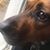 Melissa Carnell's profile image